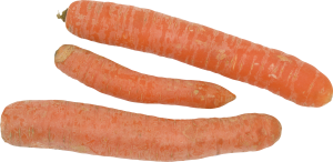 Carrot PNG image-4982